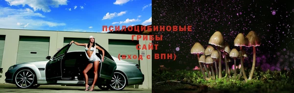 героин Вяземский