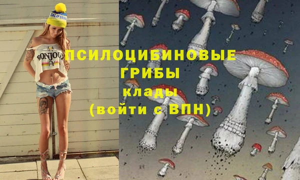 соль ск Вязники